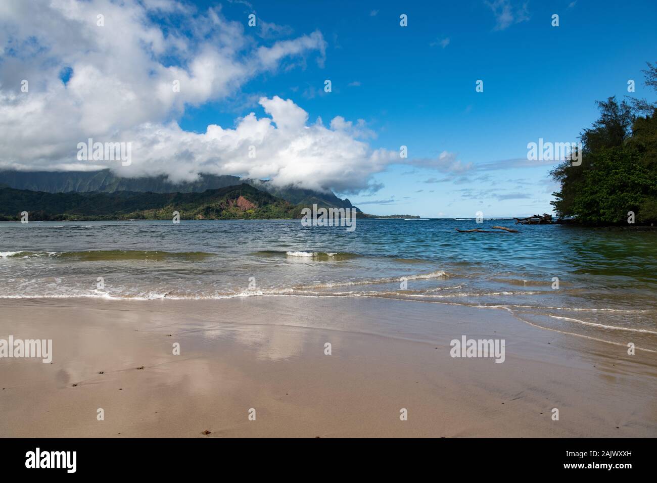 Affacciato sul mare su Hanalei Beach Kauai, Hawaii, USA Foto Stock