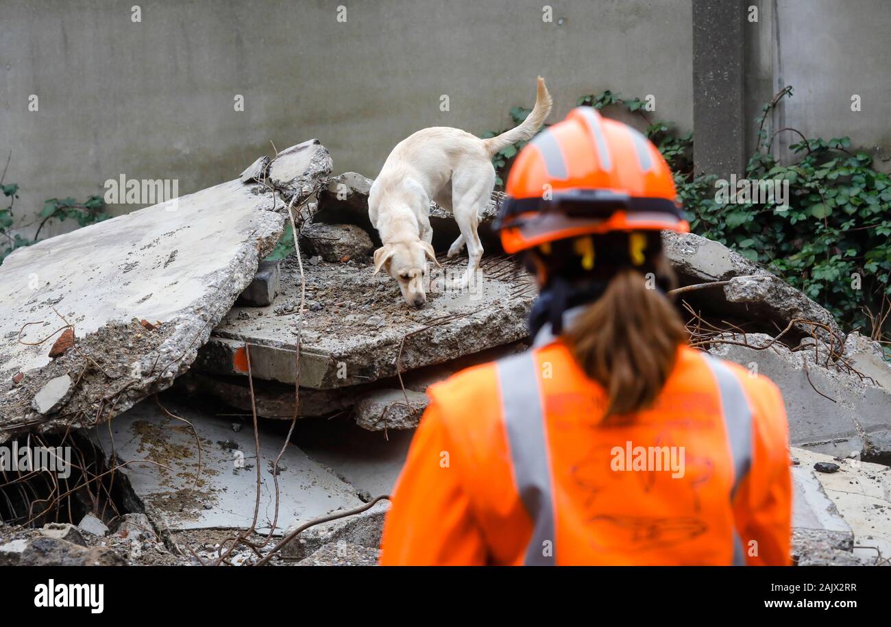 Herne, Renania settentrionale-Vestfalia, Germania - Salvataggio di addestramento del cane in ruderi di edifici crollati, il tracking cani pratica la ricerca di feriti, buri Foto Stock