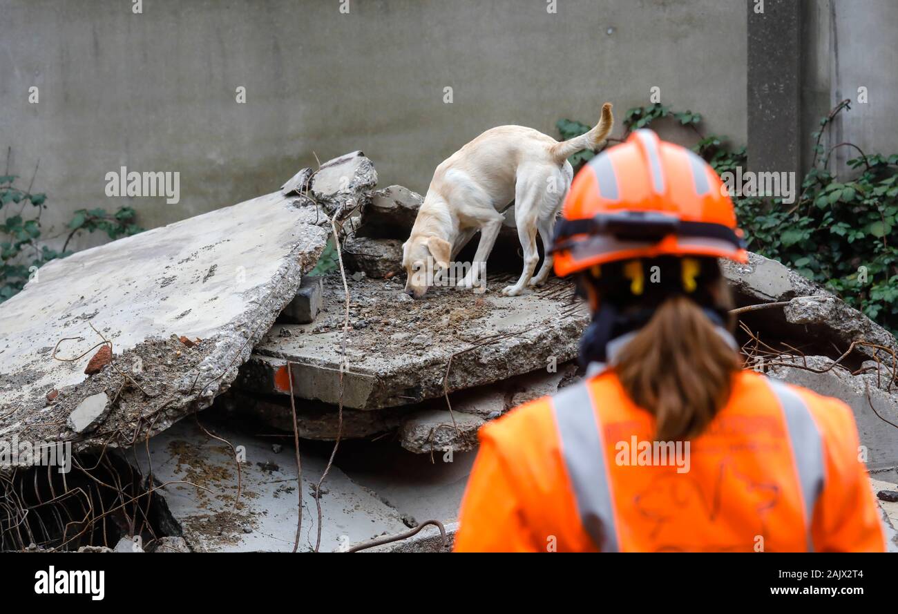 Herne, Renania settentrionale-Vestfalia, Germania - Salvataggio di addestramento del cane in ruderi di edifici crollati, il tracking cani pratica la ricerca di feriti, buri Foto Stock