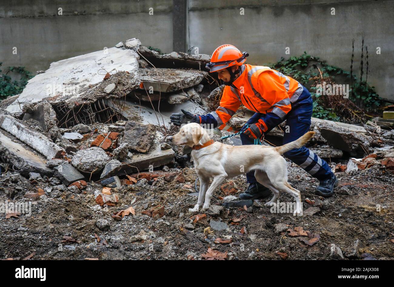 Herne, Renania settentrionale-Vestfalia, Germania - Salvataggio di addestramento del cane in ruderi di edifici crollati, il tracking cani pratica la ricerca di feriti, buri Foto Stock