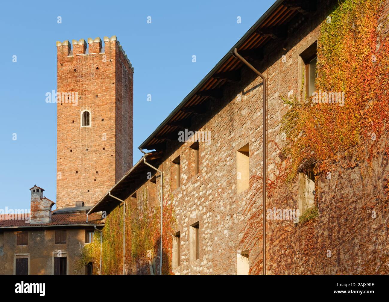 Vista della facciata del Palazzo del Territorio durante il periodo invernale in Vicenza, Italia, con la torre Coxina in background Foto Stock