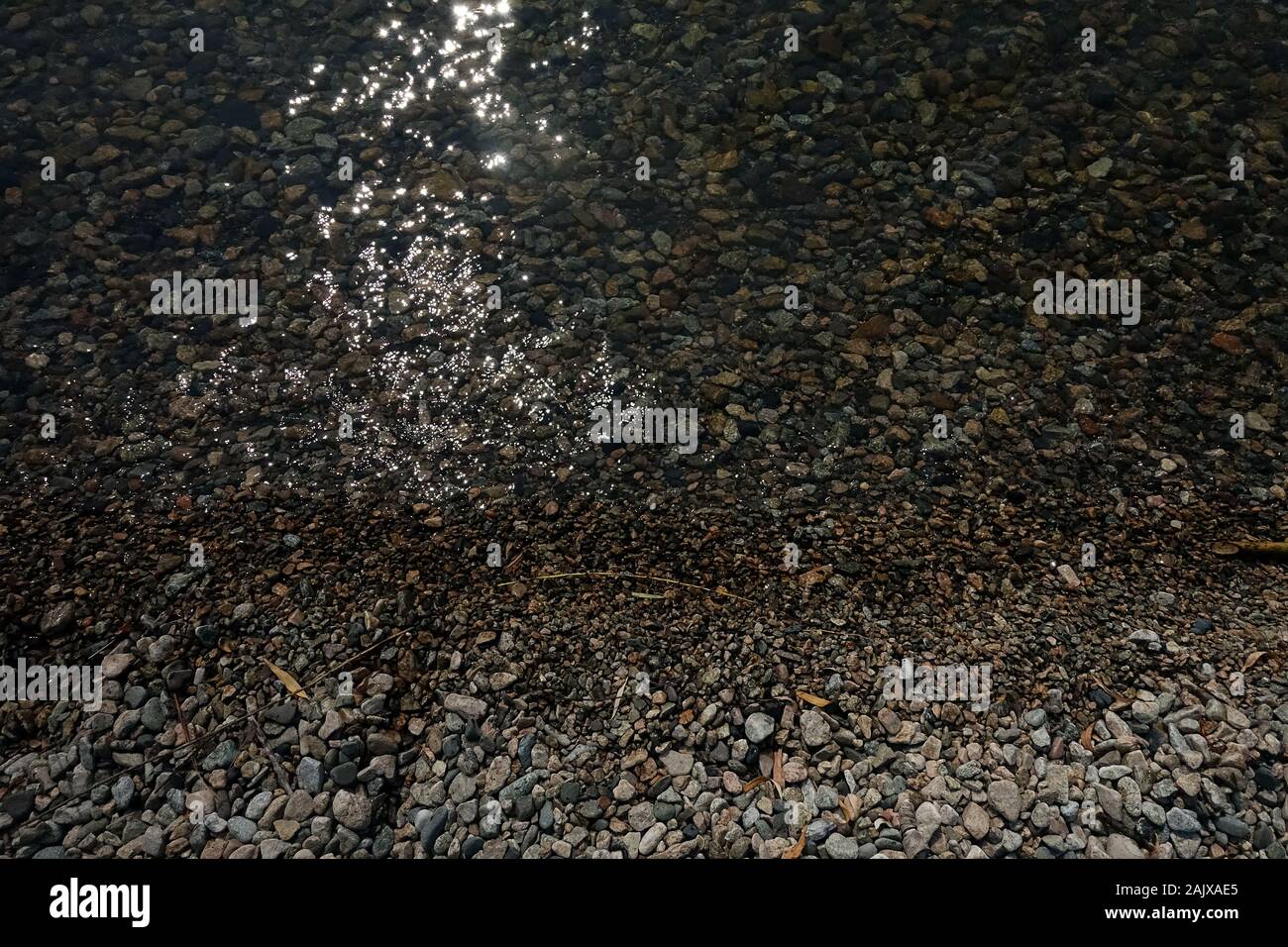Lago di Okanagan trasparente che può vedere attraverso ciottoli in acque poco profonde accanto alla riva, con riflessione del sole sulla superficie dell'acqua. Foto Stock