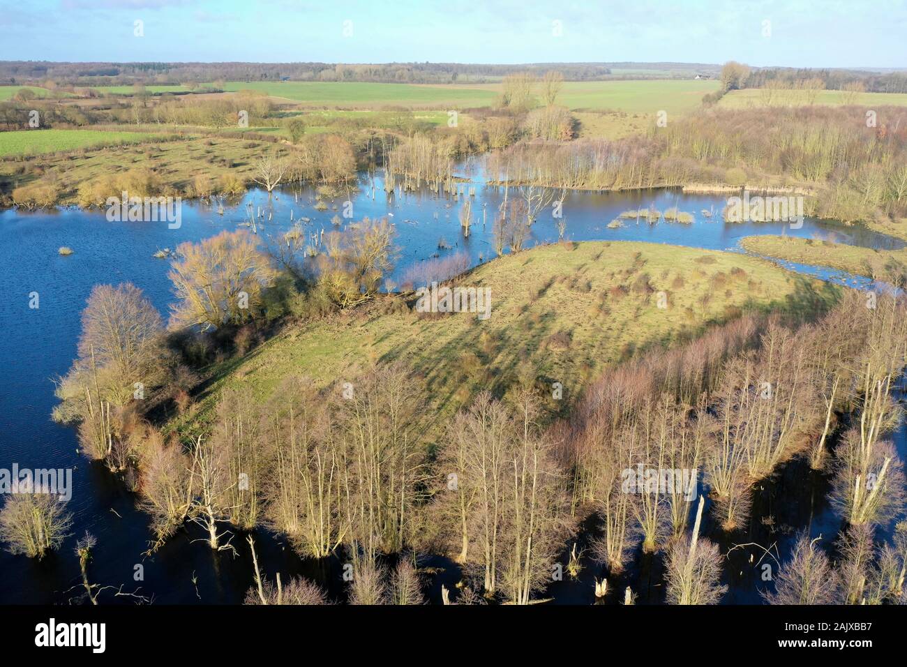 Hellmoor, Feuchtgebiet, Lämmerhof, Panten, Kreis Herzogtum Lauenburg, Schleswig-Holstein, Germania Foto Stock