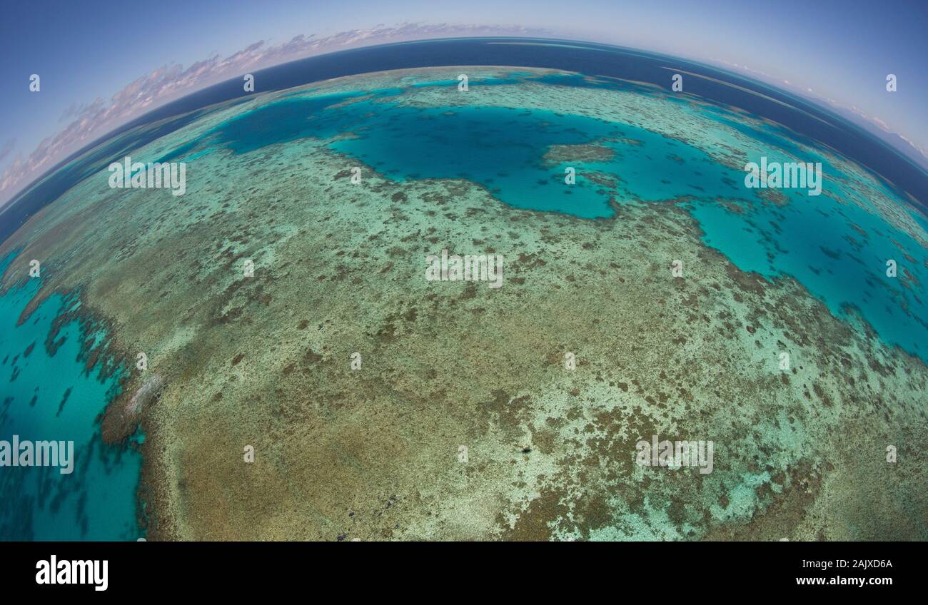 La Grande Barriera Corallina è la più grande del mondo di Coral reef sistema composto di oltre 2.900 singoli barriere coralline e 900 isole che si estende per oltre 2.300 km. Foto Stock