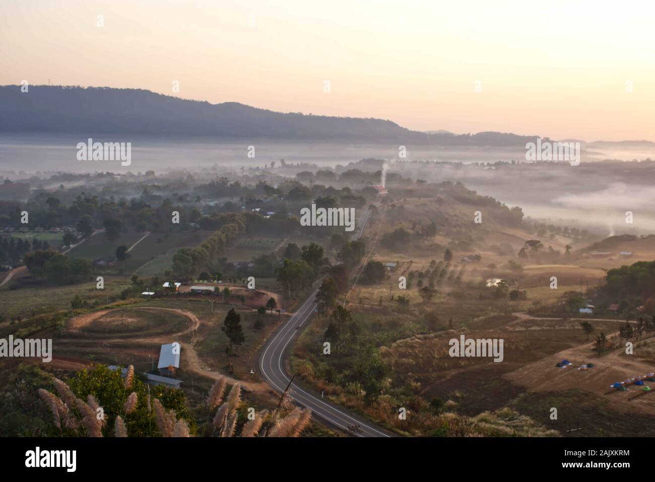 Nebbia di mattina coperto da alberi a Khao Takhian Phetchabun delle ONG in Thailandia. Foto Stock