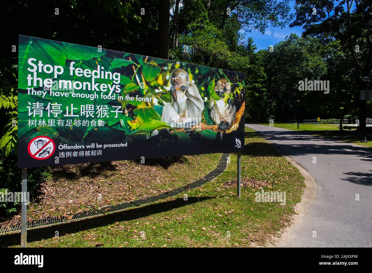 Grande cartello di nessuna alimentazione di scimmie nel parco i trasgressori saranno perseguiti a norma di legge. Il Bukit Batok Nature Park, Singapore Foto Stock
