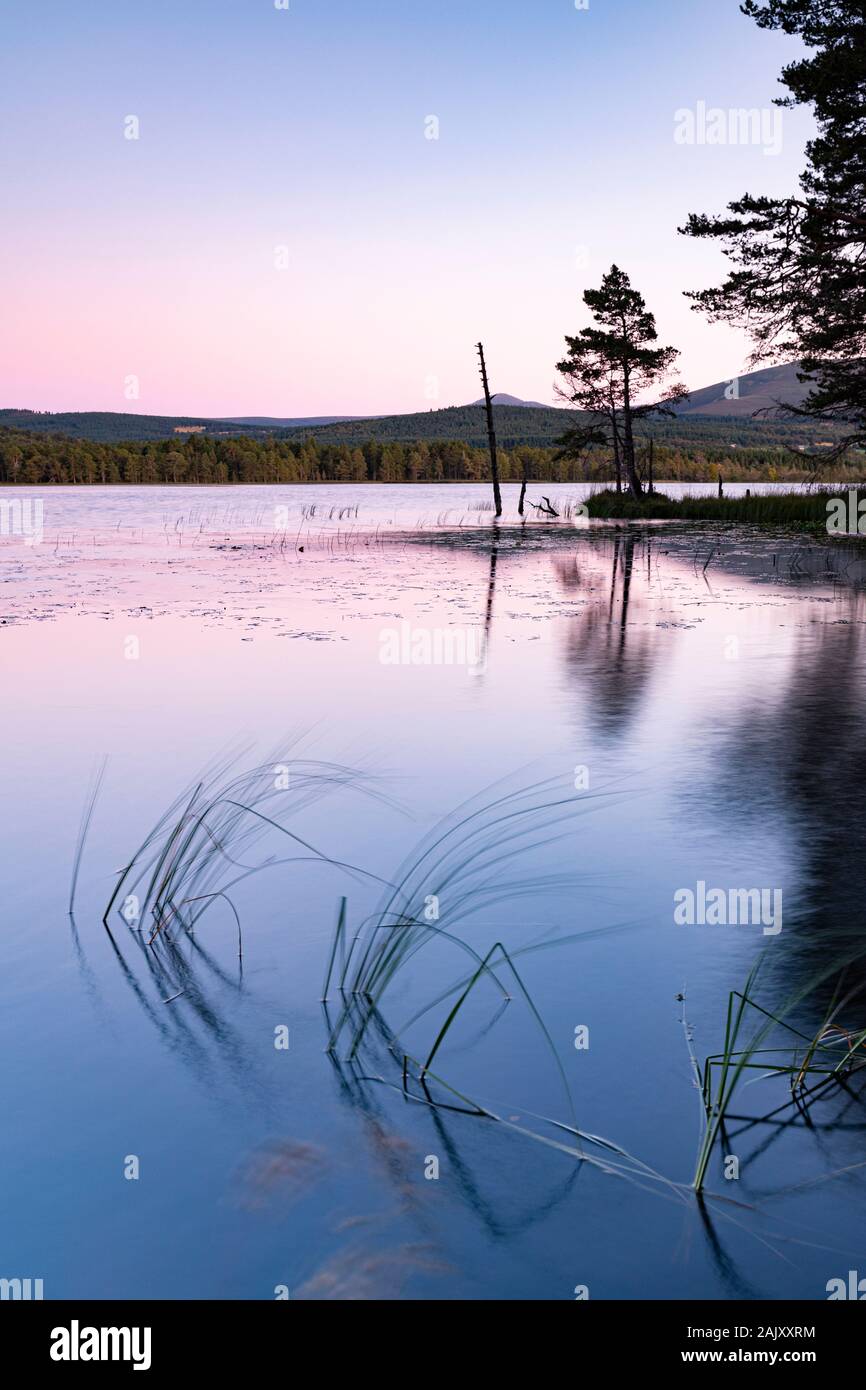 Serata sul Loch Garten nelle Highlands della Scozia. Foto Stock