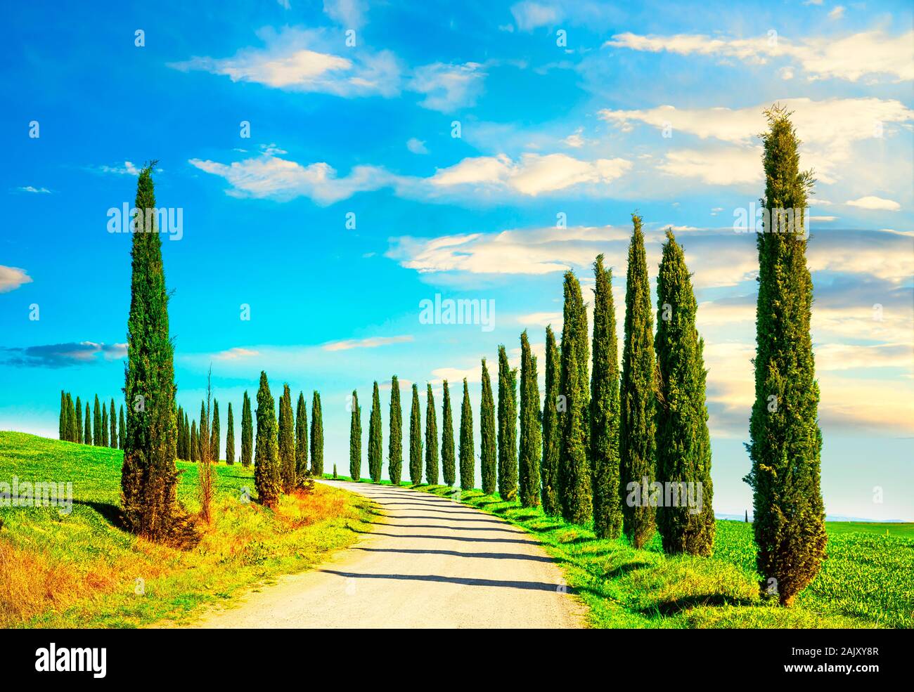 Italian cipressi righe e una strada bianca del paesaggio rurale. Siena, Toscana, Italia, Europa. Foto Stock