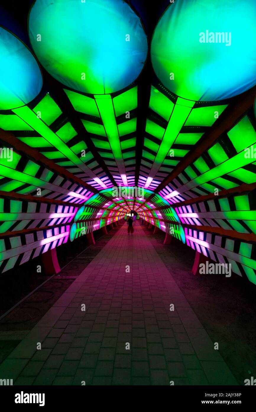 Dubai, Emirati Arabi Uniti - 3 Dicembre 2018: bella per le installazioni presso il giardino di Dubai Glow family theme park illuminato di notte. Foto Stock
