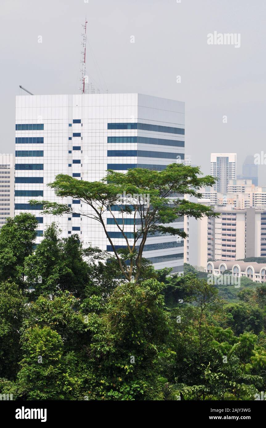 Nei dintorni di Singapore - vedute dalle onde di Henderson bridge Foto Stock