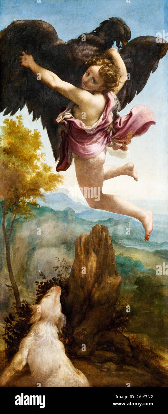 Antonio da Correggio, pittura, il rapimento di Ganimede, (Ganimede rapito da l'Aquila), 1520-1540 Foto Stock