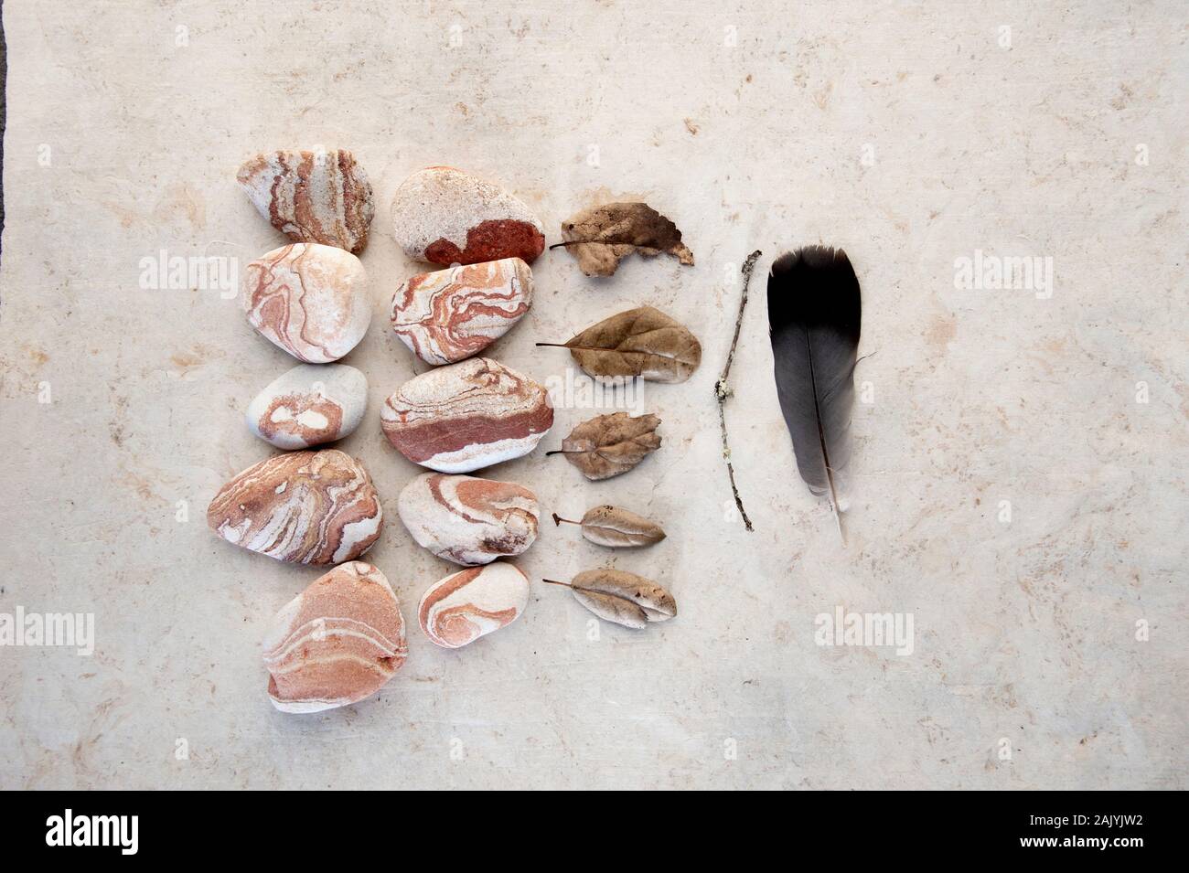 Fotografia di vita di Still Life di foglie cadute, arenaria rossa e la linea di un bastone organico. Foto Stock