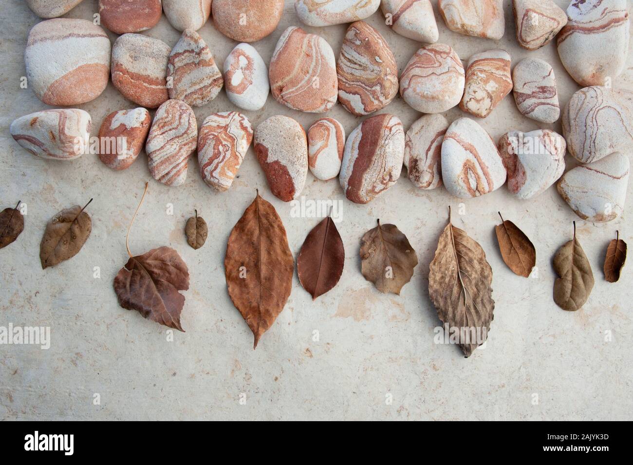 Fotografia di vita di Still Life di foglie cadute, arenaria rossa e la linea di un bastone organico. Foto Stock