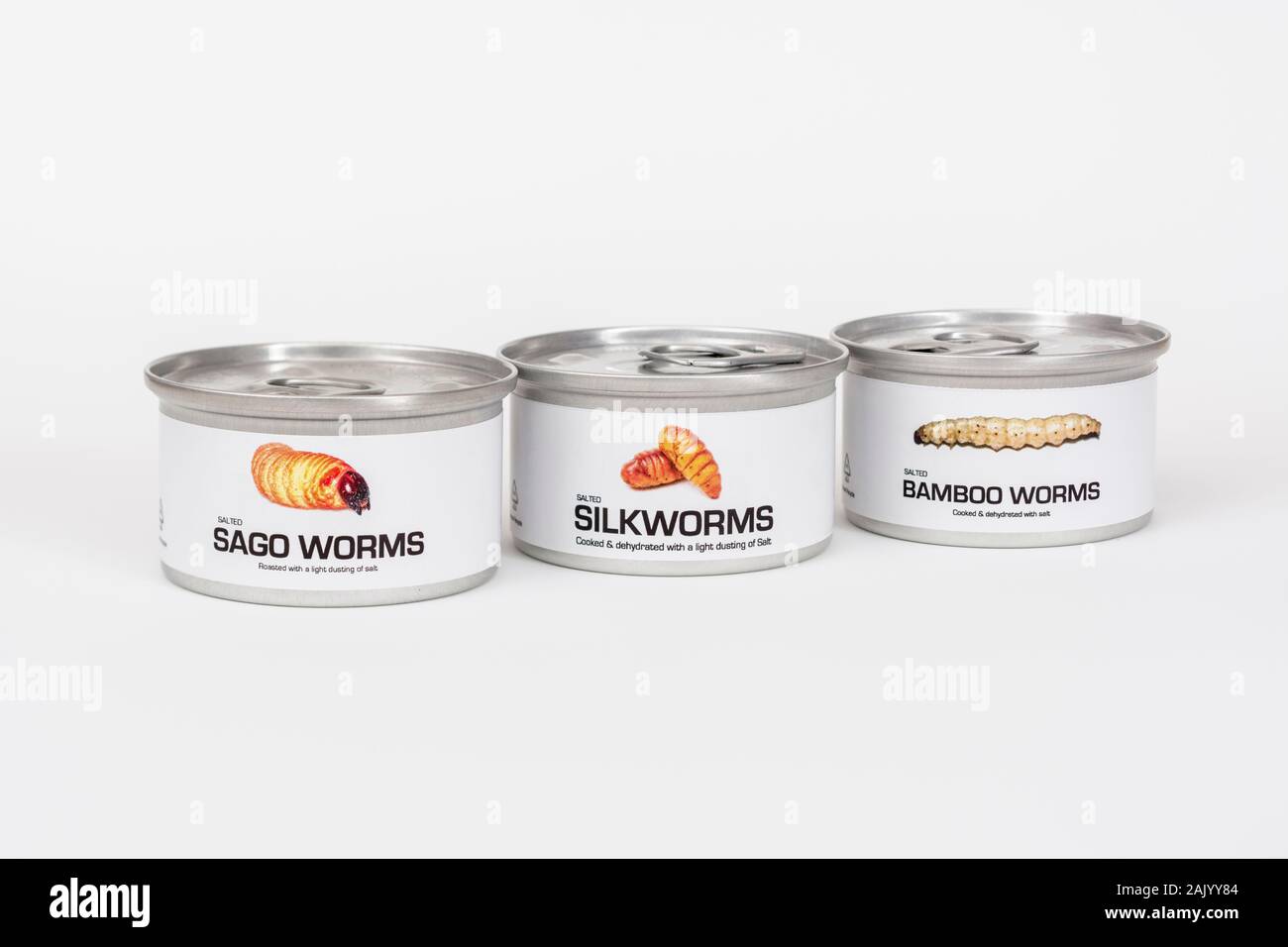 Conserve di insetti commestibili: Sago worm / Rhynchophorus ferrugineus, bachi da seta / Bombice mori, bambù worm / Omphisa fuscidentalis. Entomofagia, bug. Foto Stock