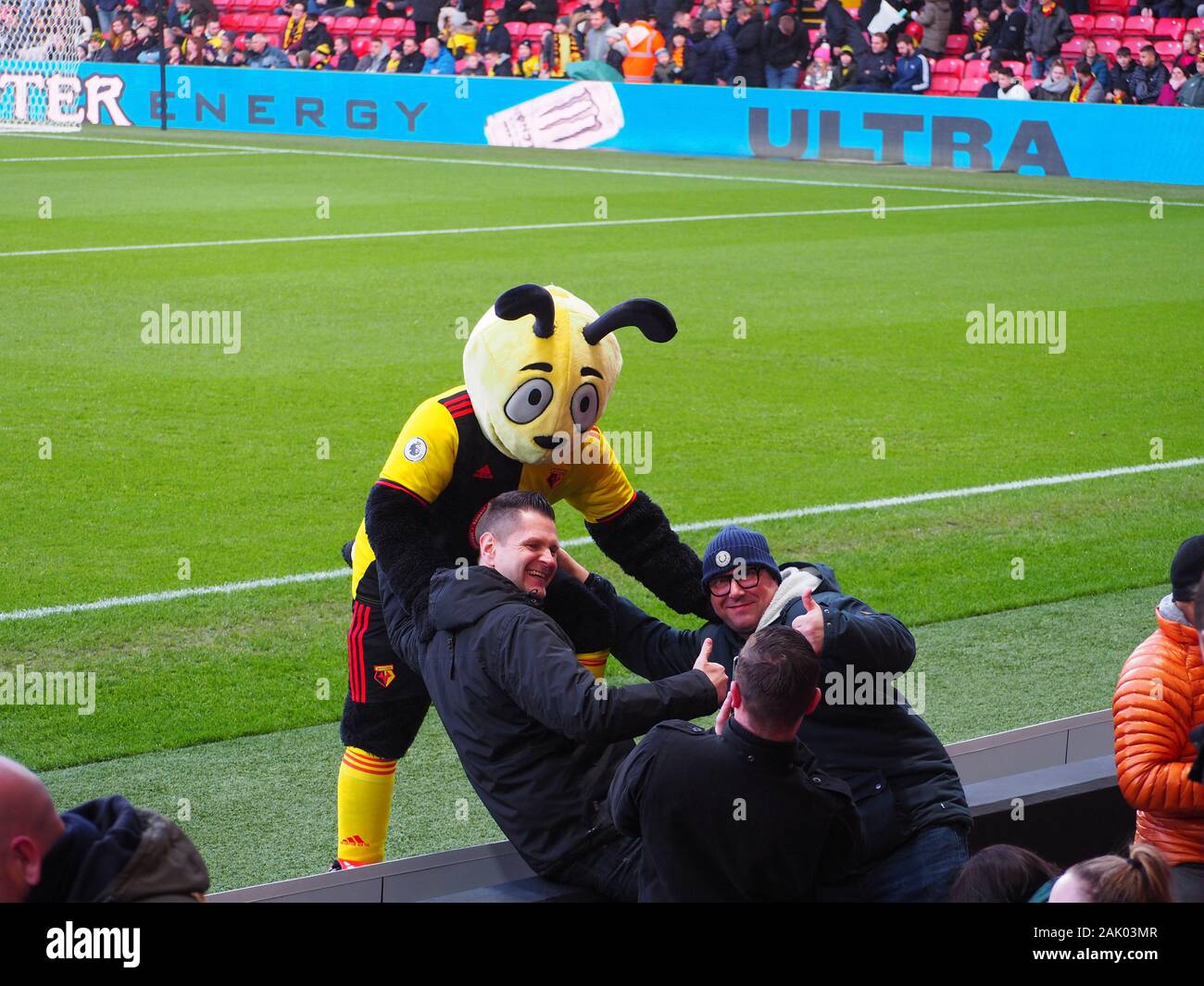 Harry The Hornet - Watford - Regno Unito Foto Stock