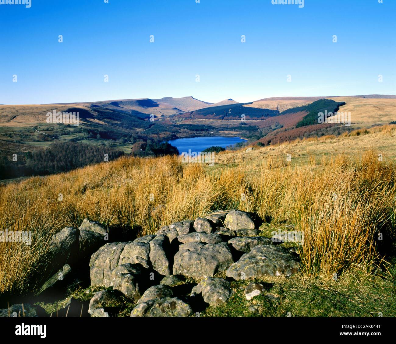Il Brecon Beacons da Dol Y Gaer, Taf Fechan, Parco Nazionale di Brecon Beacons, Powys, Wales, Regno Unito. Foto Stock