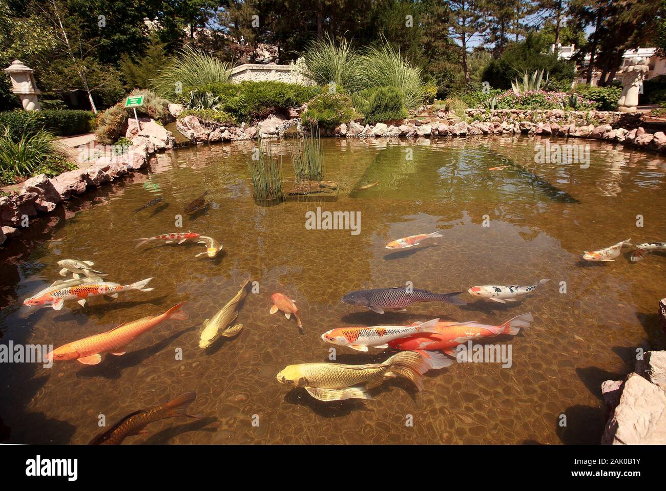 Pesce in chiaro lago artificiale Foto Stock