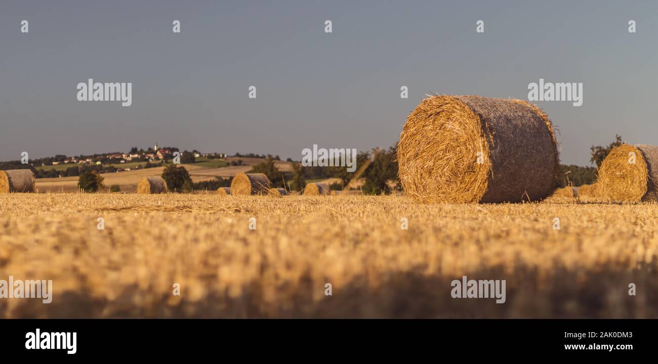 Balle di paglia su un campo stoppie, sullo sfondo un villaggio con una chiesa su una collina, cielo blu, paesaggio in luce solare dorata Foto Stock