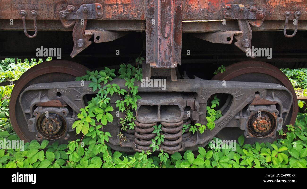 Una vecchia ferrovia esanime ricoperta con una strisciante vigna. Rusty  carrello ferroviario e carro su binari ferroviari ricoperta da erba,  vigneti e alberi Foto stock - Alamy