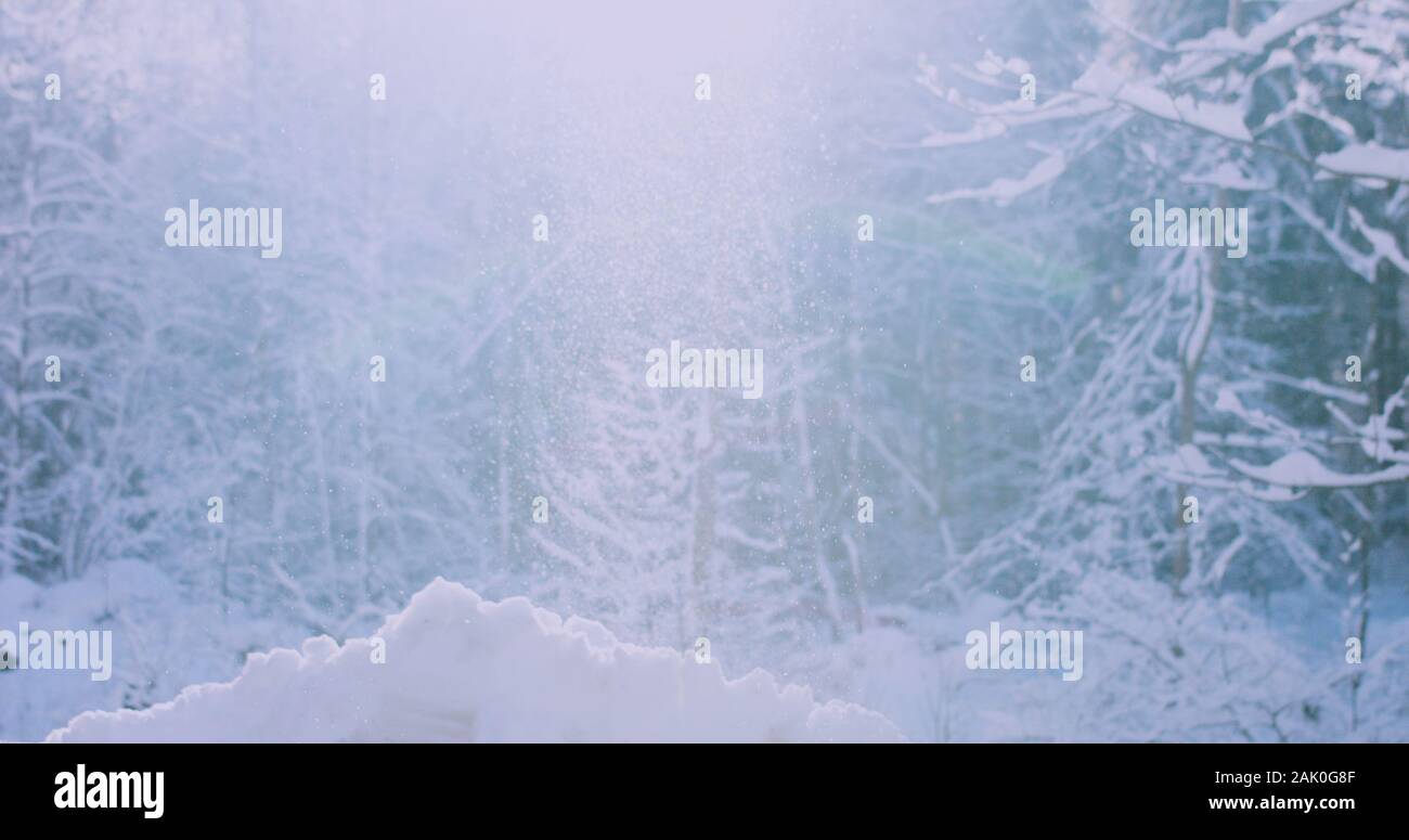 Inverno il sole che splende attraverso nevicata con alberi in una fredda mattina. 4k a risoluzione Foto Stock