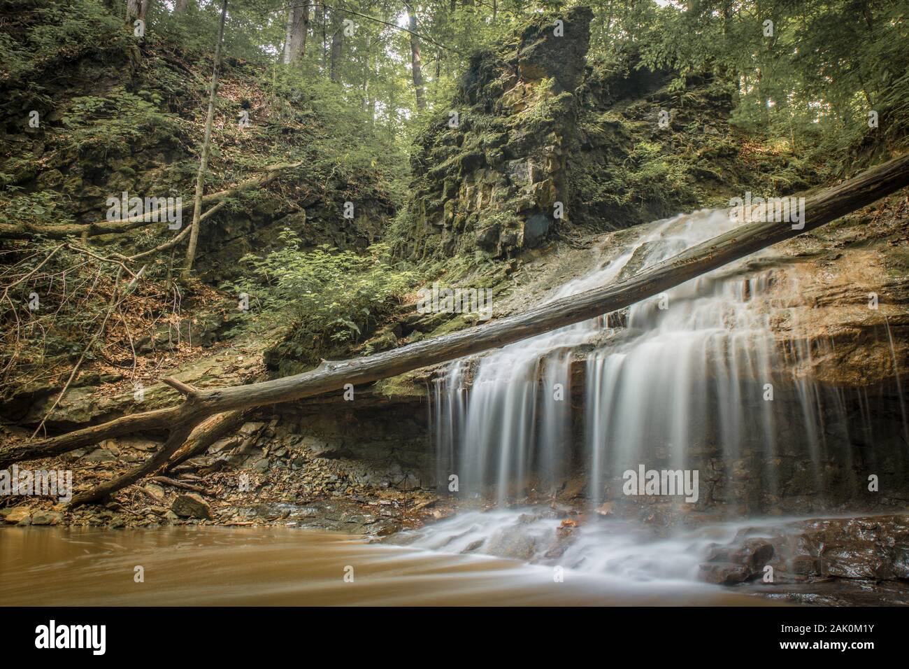 Una cascata in estate boschi. Foto Stock