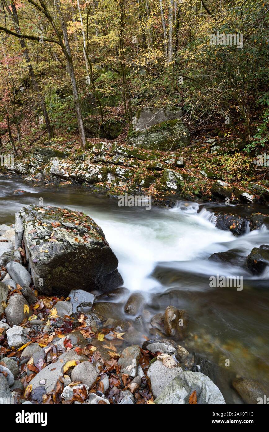 Un veloce flusso viene eseguito su grossi massi e attraverso la foresta nel Tennessee orientale. Foto Stock