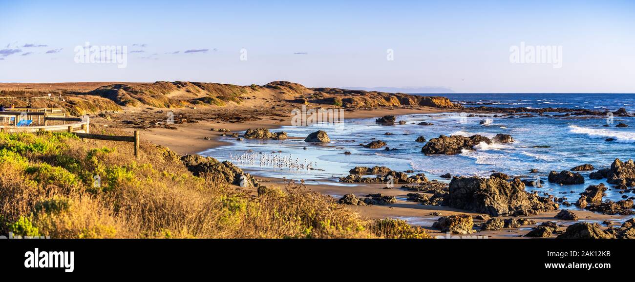 Vista panoramica della fascia costiera sull'Oceano Pacifico su una soleggiata giornata invernale; Elephant guarnizioni visibili sulla spiaggia sabbiosa; San Simeone, California Foto Stock