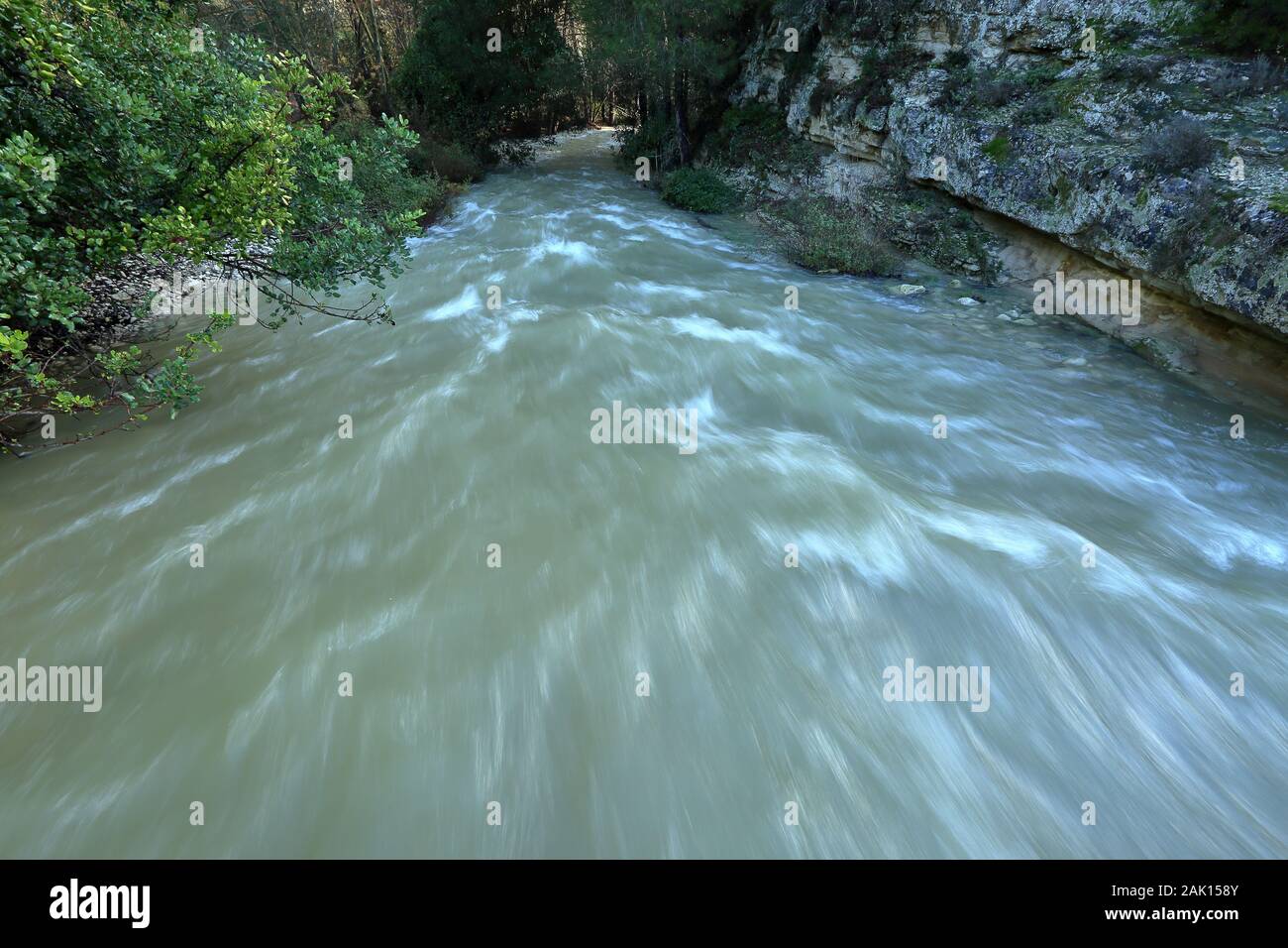 L'acqua sporca scorre velocemente in wildriver dopo la tempesta di pioggia, il pericolo di allagamento, il riscaldamento del clima, i cambiamenti. Foto Stock