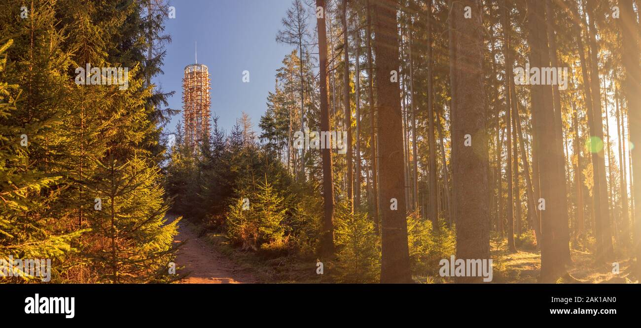 Torre di vedetta in legno sulla cima della collina di Hradiste, Boemia meridionale, repubblica Ceca, nella foresta con i raggi luminosi del sole Foto Stock