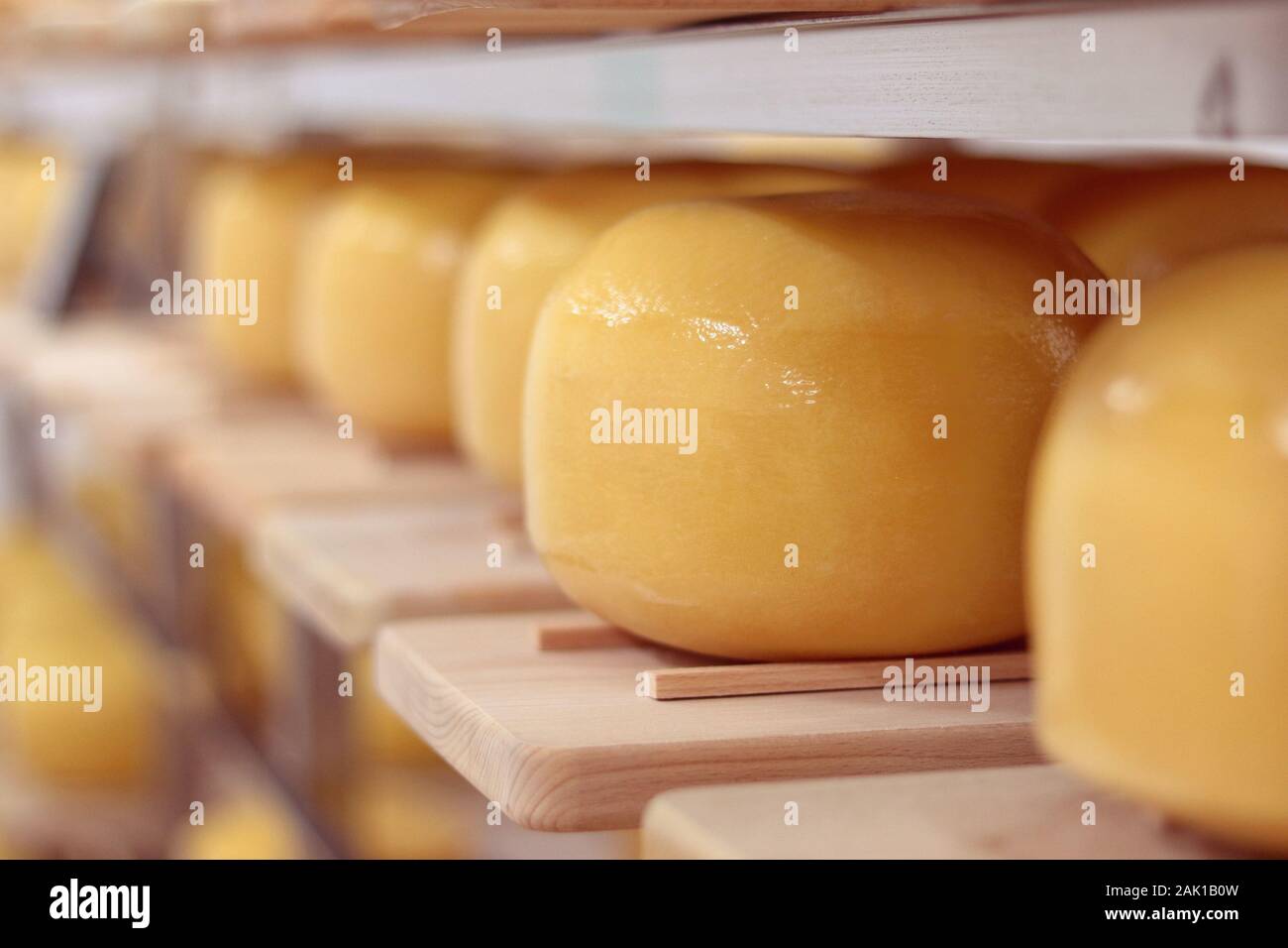 pani gialli di formaggio duro immagazzinati in una cantina fredda di caseificio Foto Stock