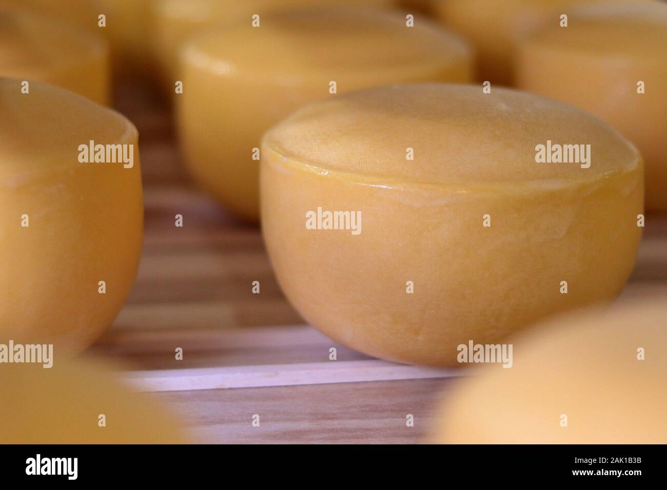 pani gialli di formaggio duro immagazzinati in una cantina fredda di caseificio Foto Stock