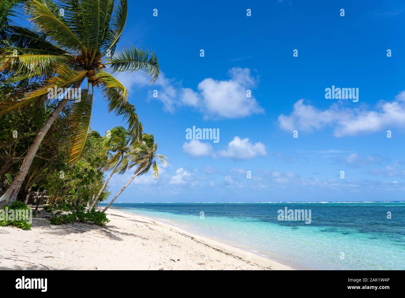 Spiaggia di sabbia bianca con struttura cocunut,blue sky & mare turchese.Alegria beach,Siargao Island,Filippine Foto Stock