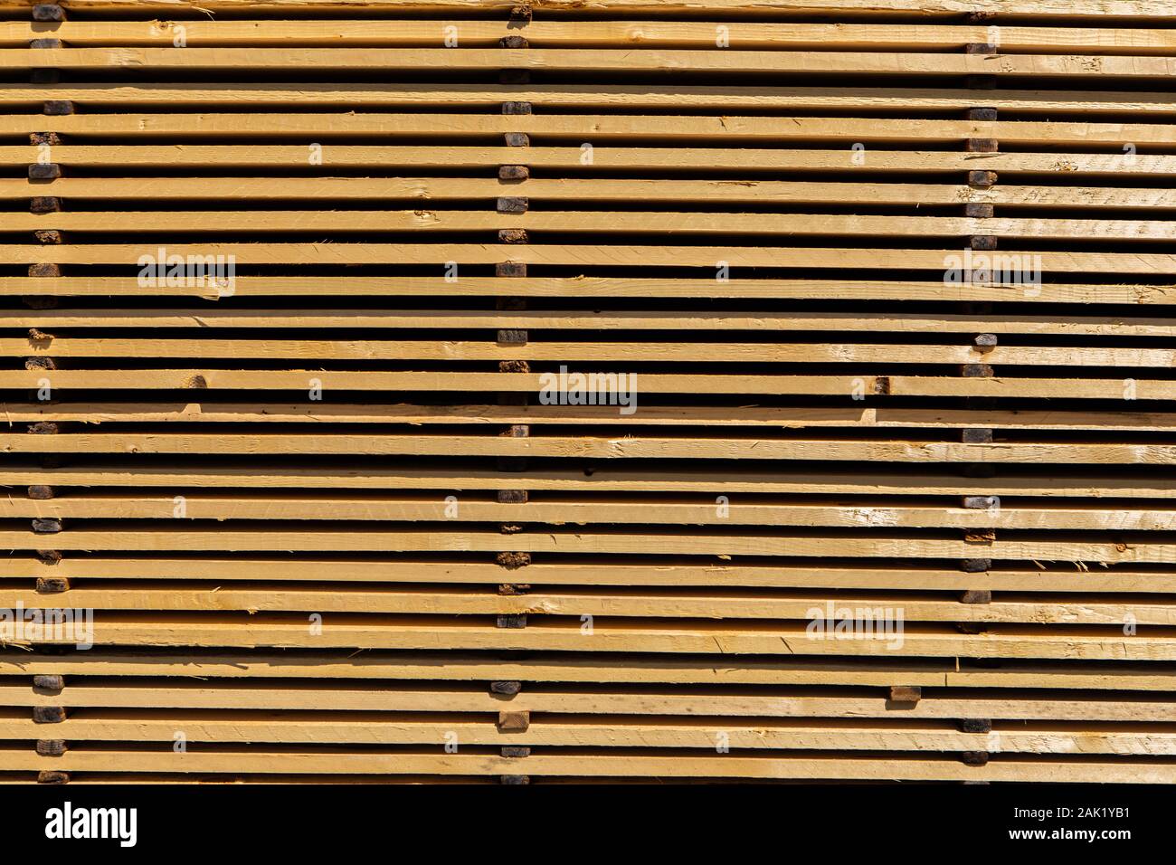 Chiudere verso l'alto e una vista laterale di un pallet pieno di trattato e lavorato in legno di pino plance. Costruzione naturale e industria edilizia materiali telaio di riempimento. Foto Stock
