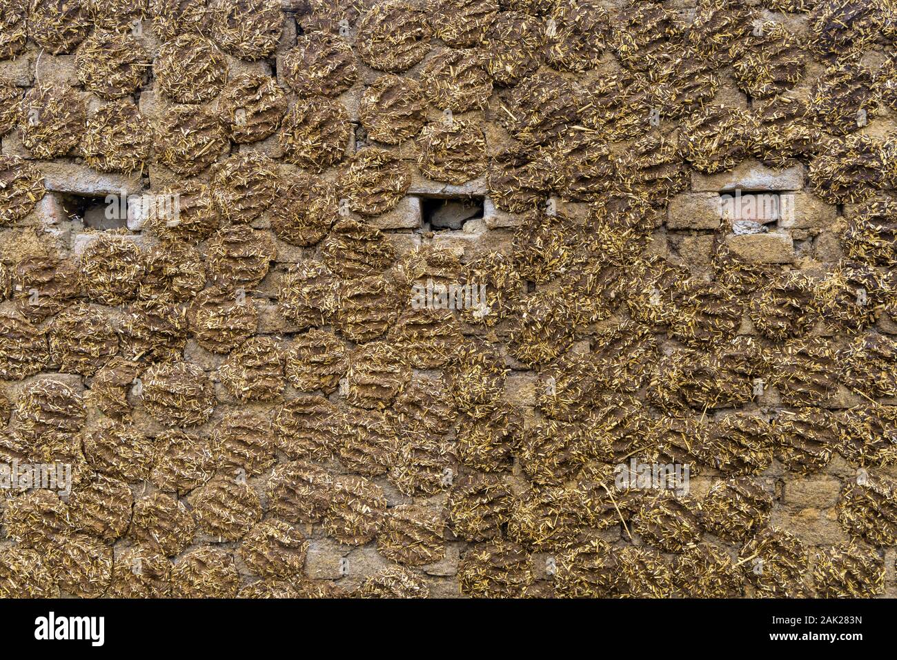 La parete della casa è fatta di sterco in India. Foto Stock