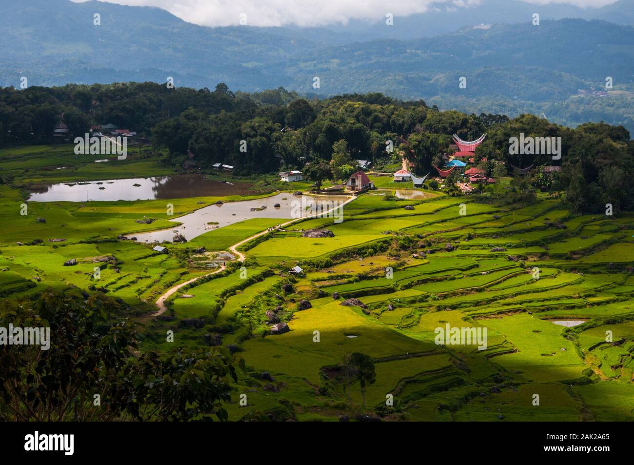Panorama di un piccolo villaggio a Battu Tumonga di Toraja in Indonesia. Foto Stock