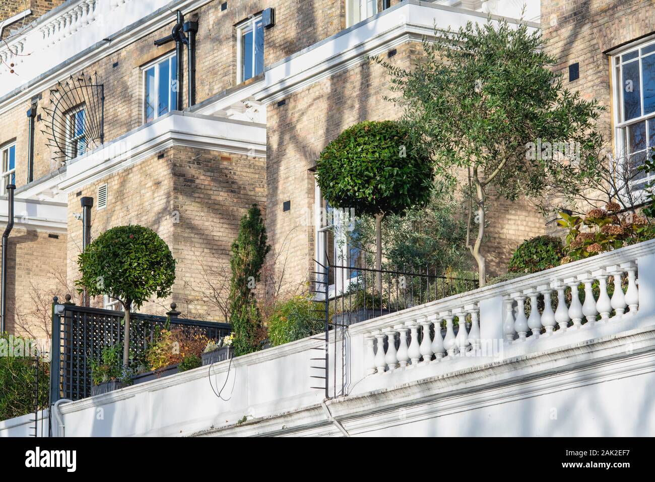 Piccoli alberi in vaso in casa balcone giardini. Onslow Gardens, South Kensington, Londra, Inghilterra Foto Stock