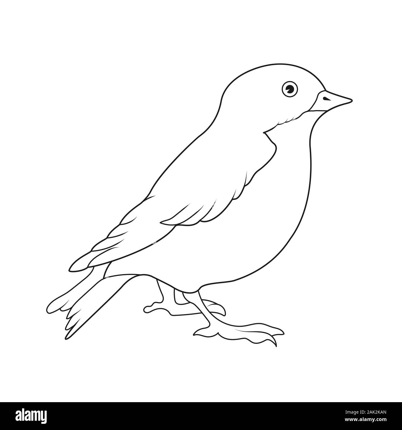Svuotare il contorno di un uccello. Isolato su uno sfondo bianco. Design piatto per cartoline, fumetti, libri da colorare e decorazione. Illustrazione Vettoriale