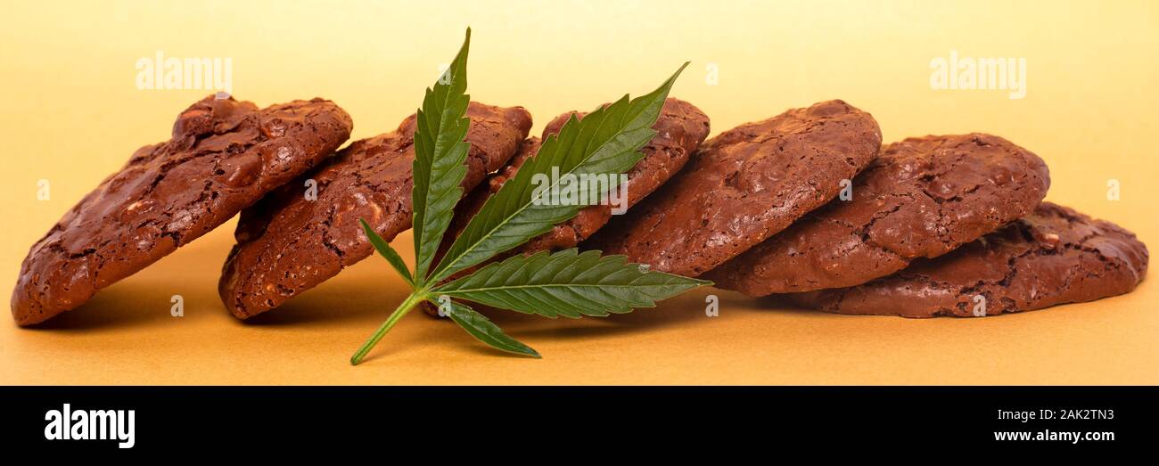 La cannabis cookie e foglia verde. cioccolato cookie di arachidi con la marijuana olio su uno sfondo giallo. Foto Stock