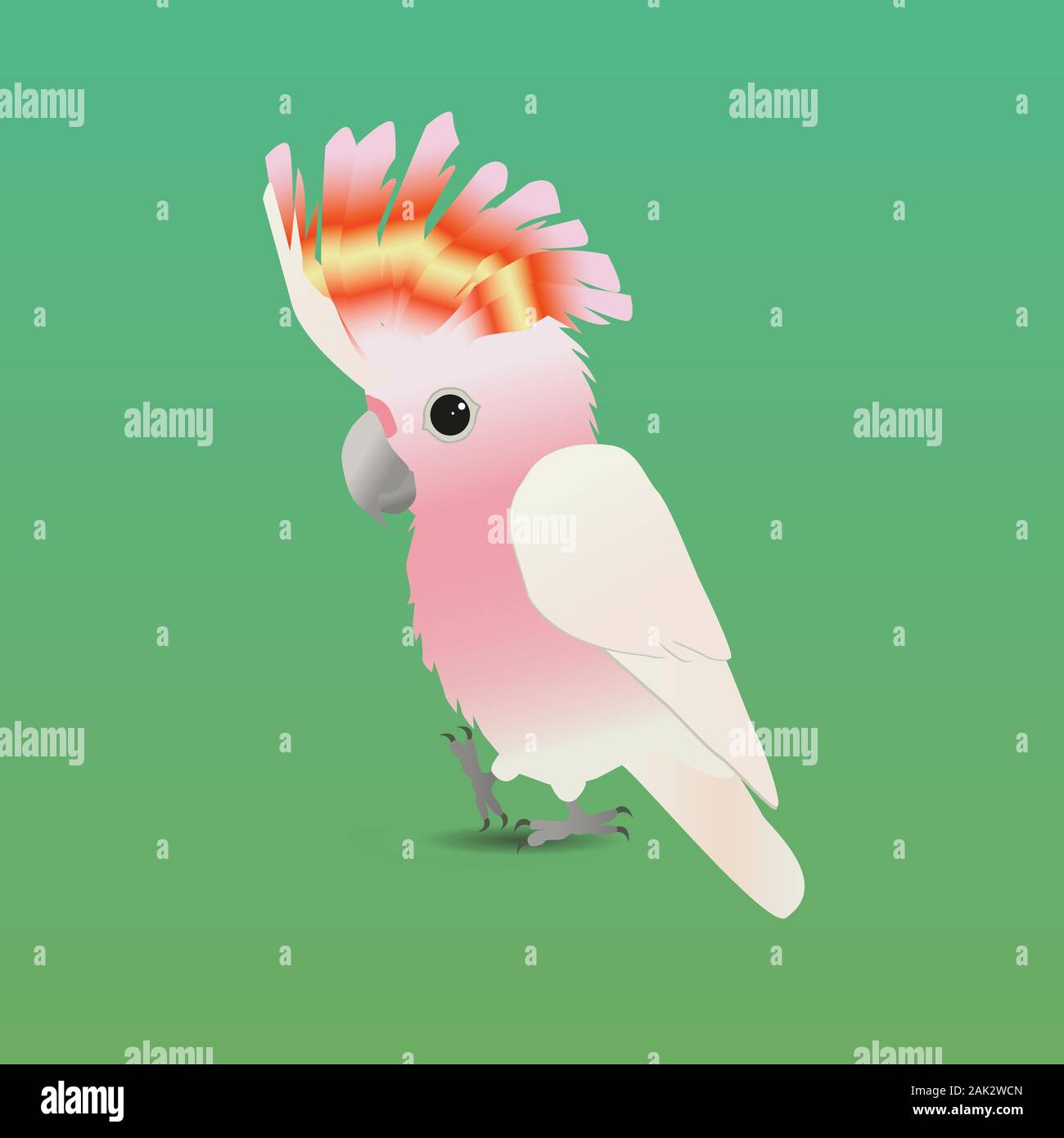Una illustrazione di un simpatico Major Mitchell's cacatua Illustrazione Vettoriale