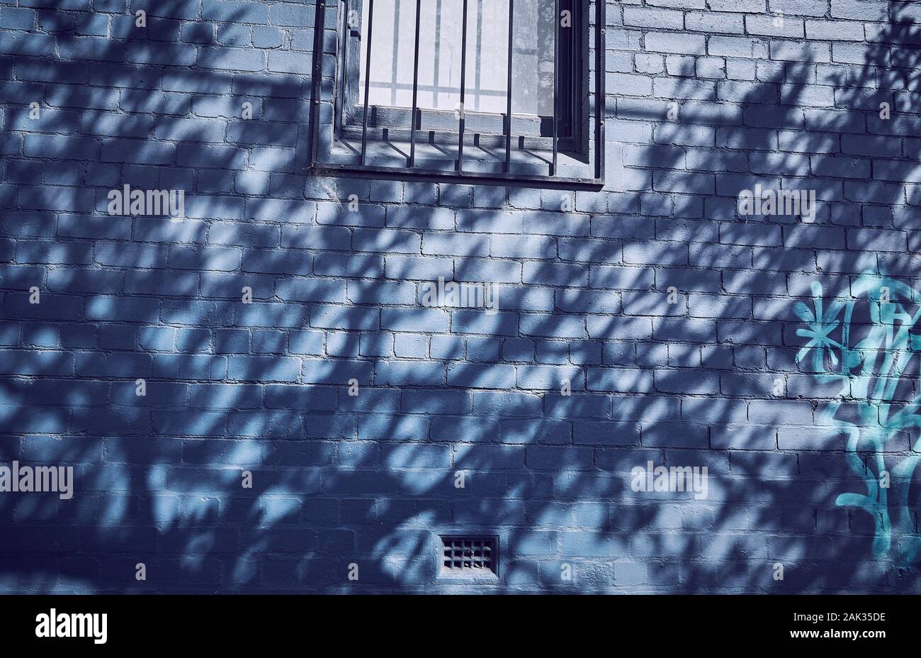 ombre di un albero sulla muratura di un edificio Foto Stock