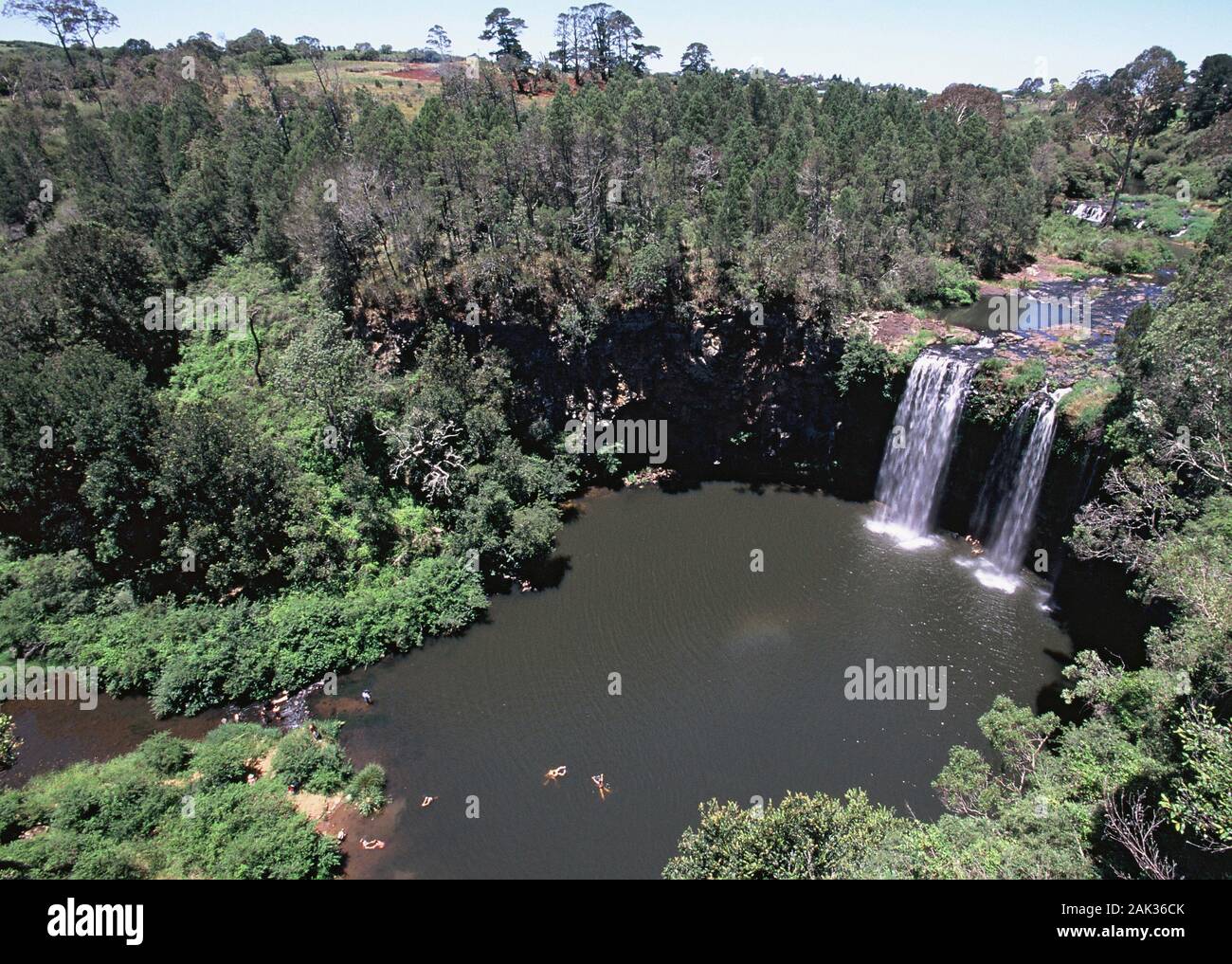 Vista del Dangar cade nel Dorrigo Parco Nazionale Dorrigo nelle vicinanze del Nuovo Galles del Sud, Australia. Non datata (foto) | utilizzo in tutto il mondo Foto Stock