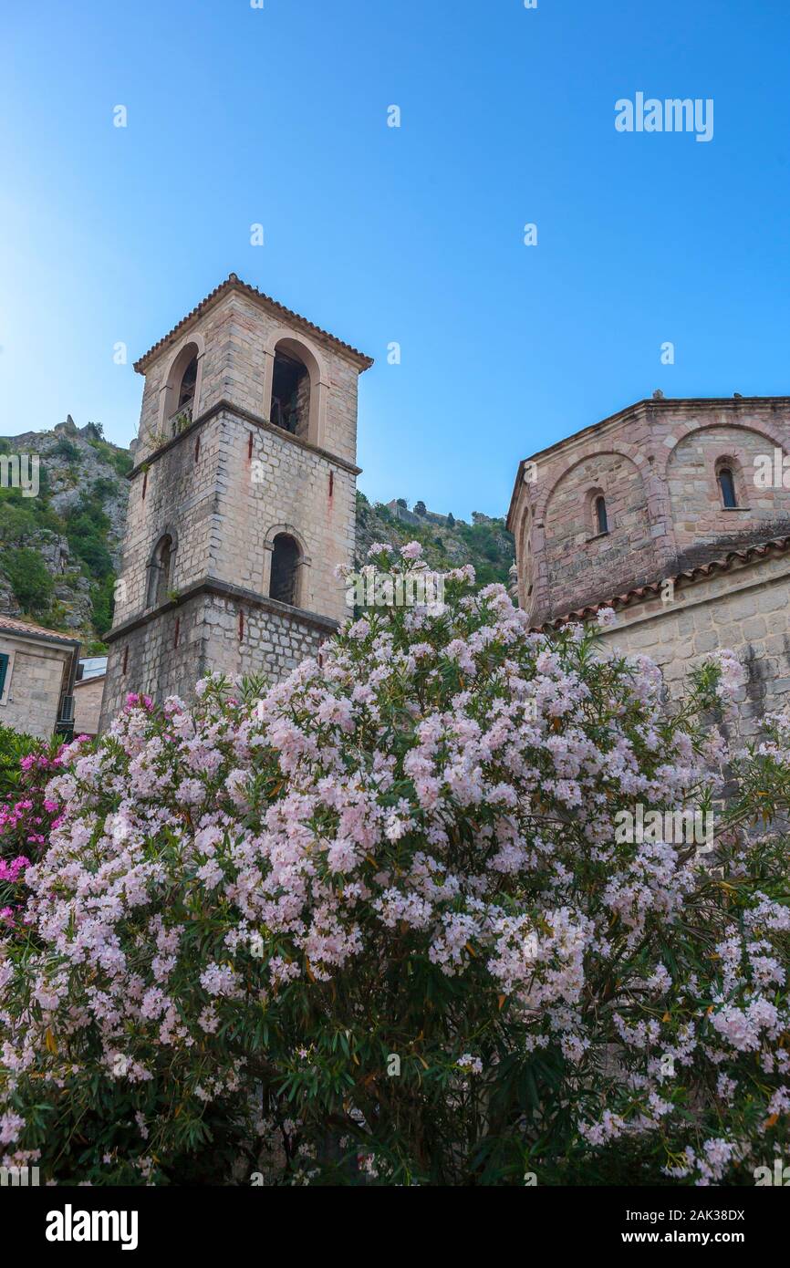 Trg od Drva (legno quadrato), Santa Maria la Chiesa Collegiata e le fortificazioni sulle montagne alle spalle di Kotor, Montenegro. A vuoto la mattina presto Foto Stock