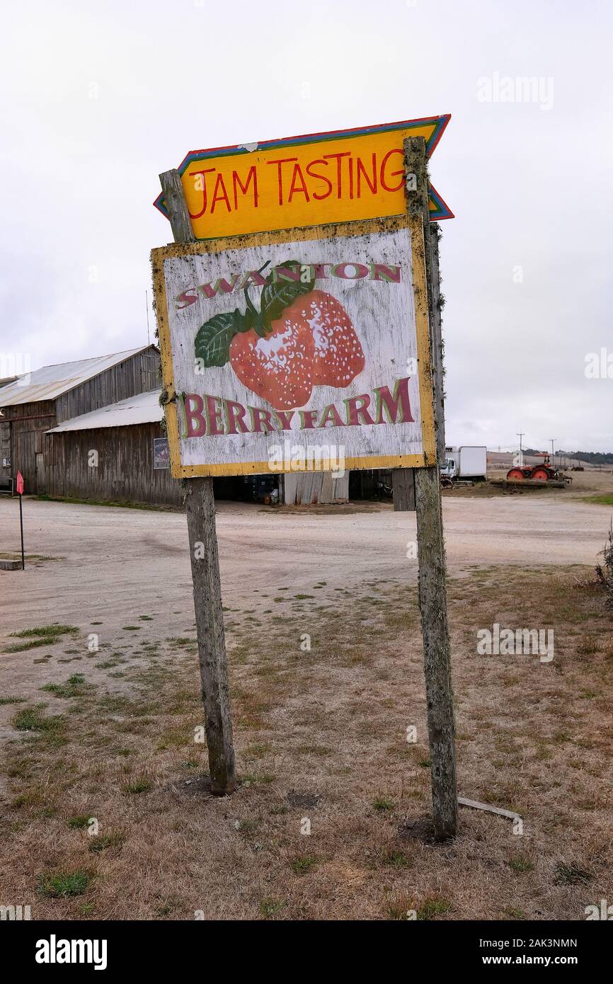 Altes Schild weist Am Rande des Highway 1 auf die Swanton Berry Farm mit Degustazione di inceppamento hin, San Mateo County, Kalifornien, STATI UNITI D'AMERICA Foto Stock