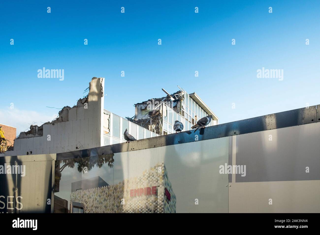 Piccioni si appollaia su cartelloni attorno al sito del vecchio edificio dell'Ufficio Postale di essere demolito come parte del tanto atteso riqualificazione di Basild Foto Stock