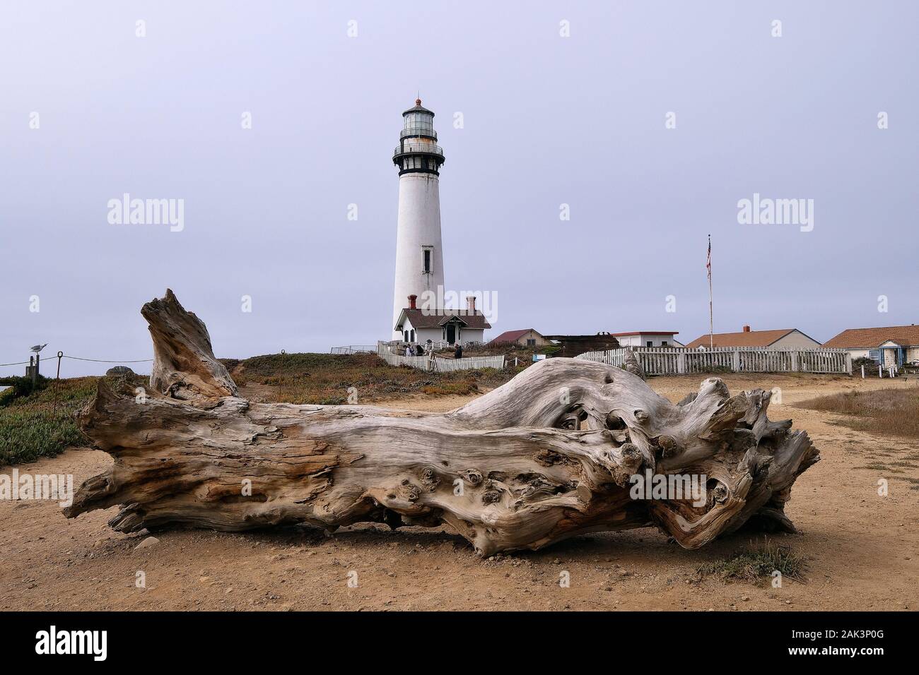 Leuchtturm, Pigeon Point Lighthouse Am Rande des Highway 1, San Mateo County, Kalifornien, STATI UNITI D'AMERICA Foto Stock