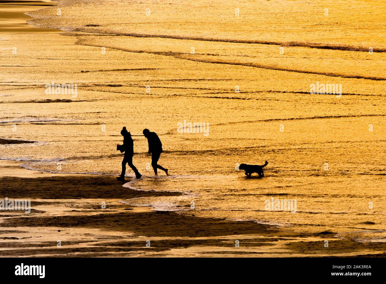 Due persone e il loro cane stagliano dalla intensa luce dorata del sole al tramonto camminando lungo il litorale a Fistral Beach in Newquay ho Foto Stock