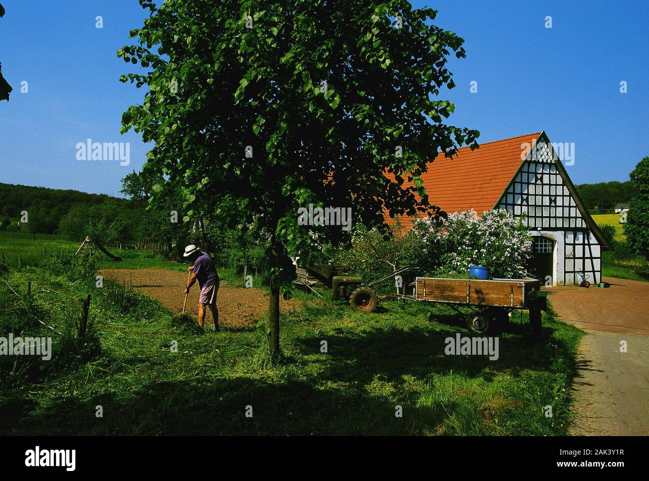 Un agricoltore lavora a Hagen nel paese di Osnabrück, Germania, davanti alla sua casa in legno e muratura. Non datata (foto) | utilizzo in tutto il mondo Foto Stock