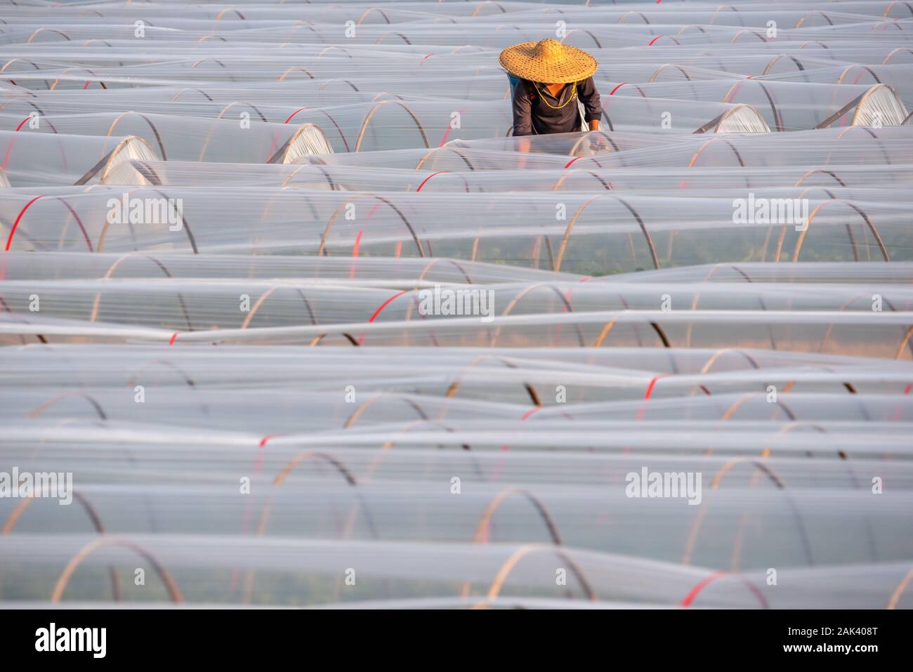 Yangshuo, Guilin, provincia di Guangxi, Cina - Nov 10, 2019 : agricoltore cinese la spruzzatura di pesticidi su piante in serra Foto Stock