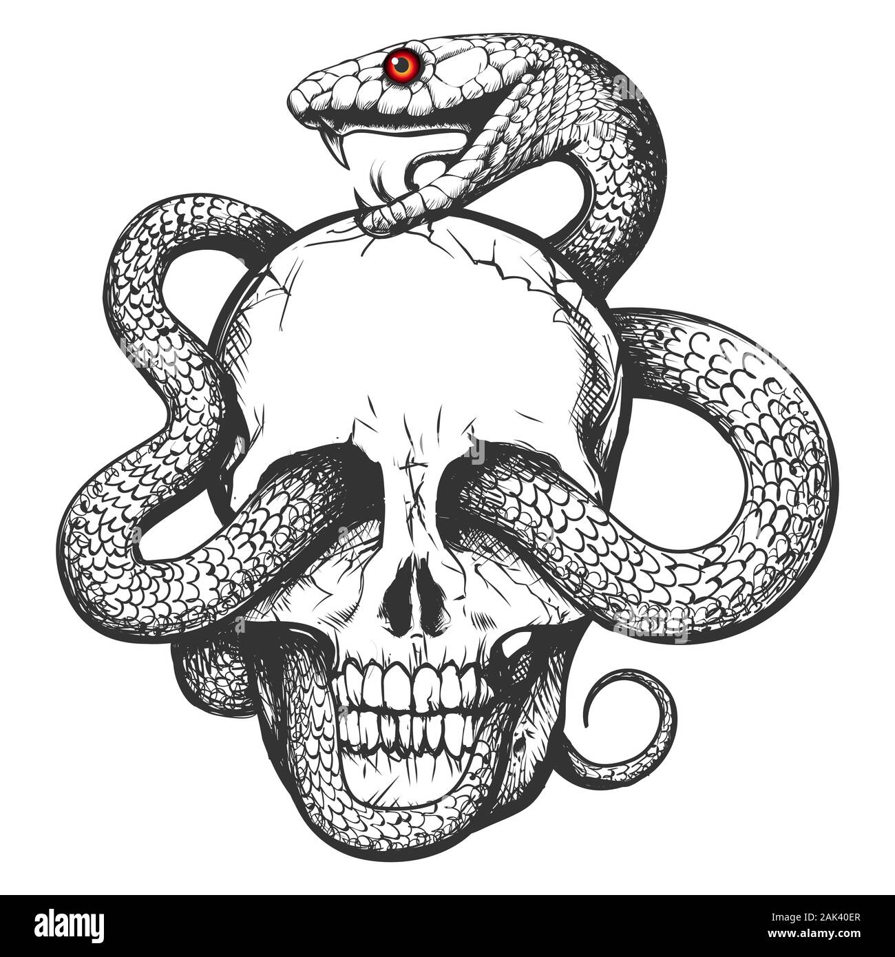 Cranio e Snake. Arte del tatuaggio disegnato a mano vintage illustrazione vettoriale Illustrazione Vettoriale