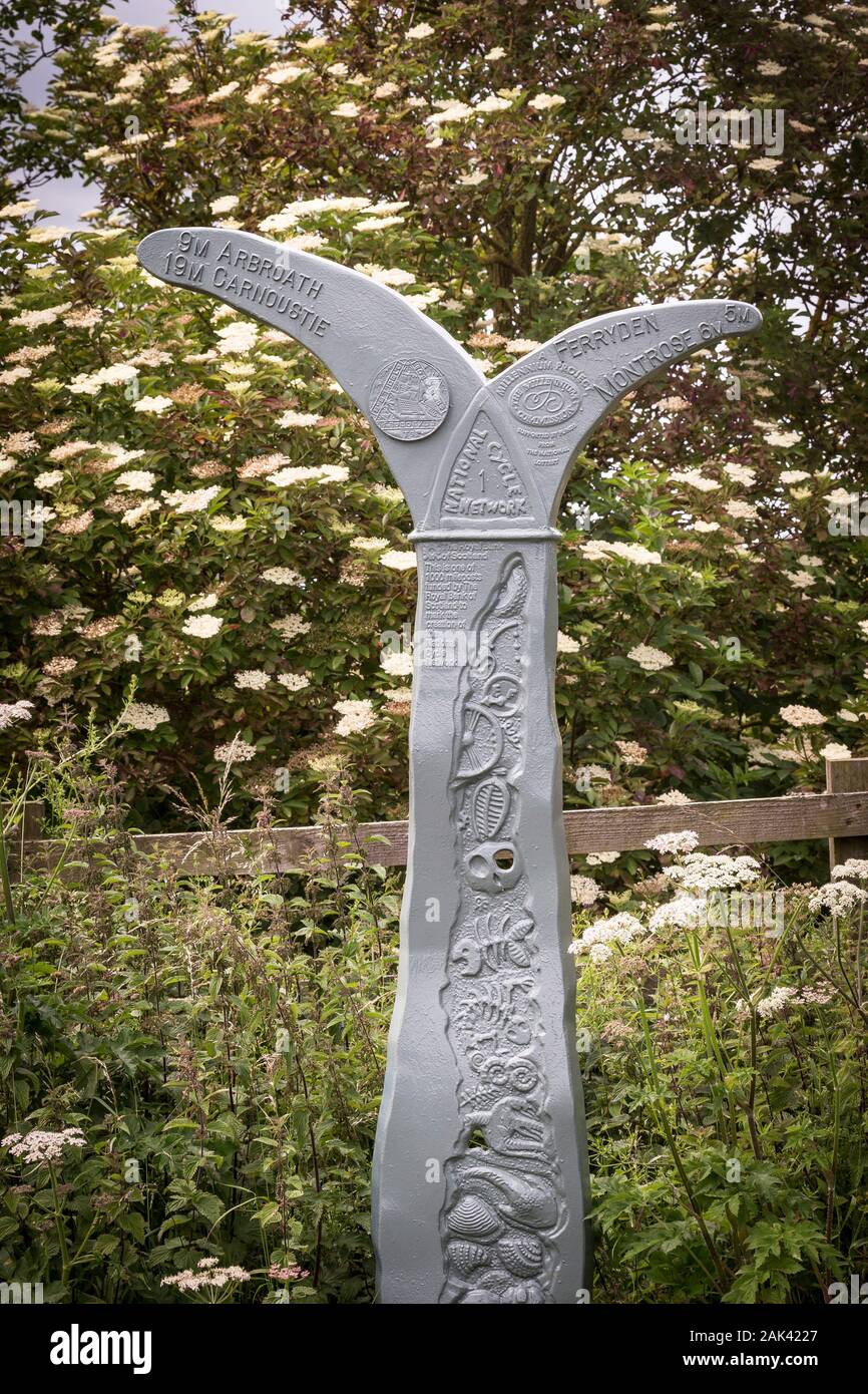 Ciclo costiere network sign a Lunan Bay di Angus. Foto Stock